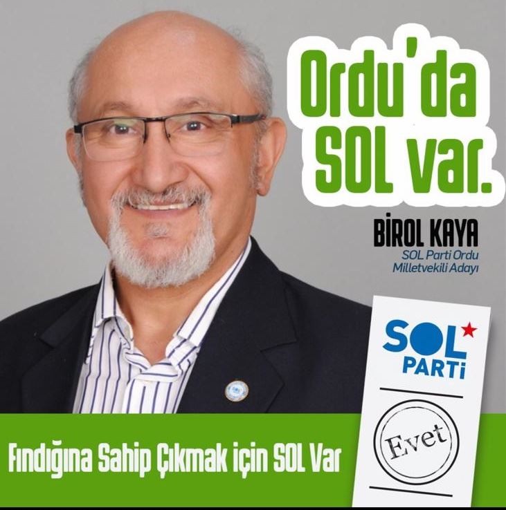 Birol Kaya: Bir oy Kemal Kılıçdaroğlu’na Bir oy Sol Partiye 