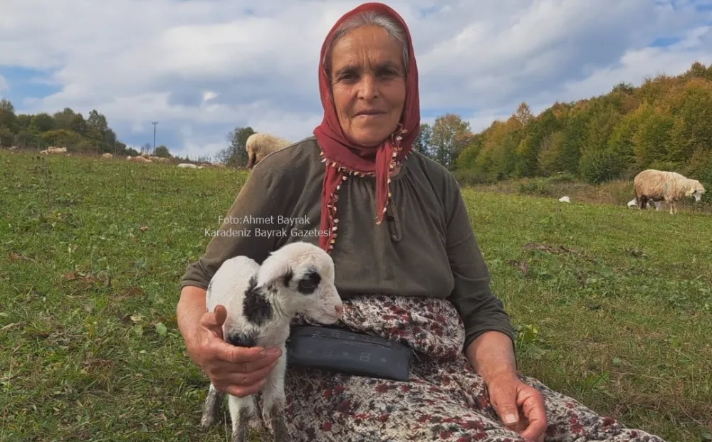 Kadın Çoban Hayvanlarına Evladı Gibi Bakıyor