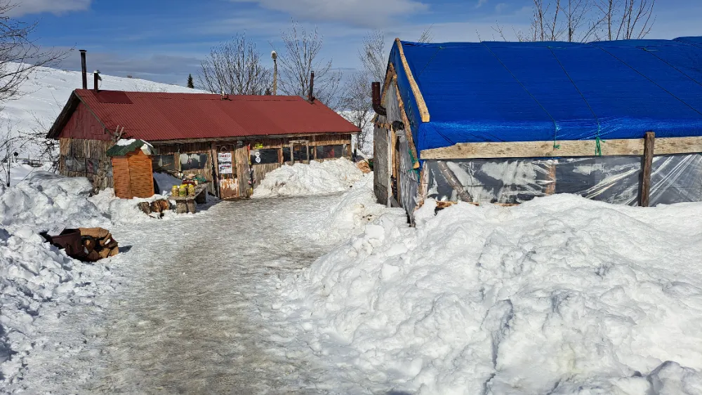 Ordu’da Çambaşı Kar Festivali Coşkuyla Kutlandı