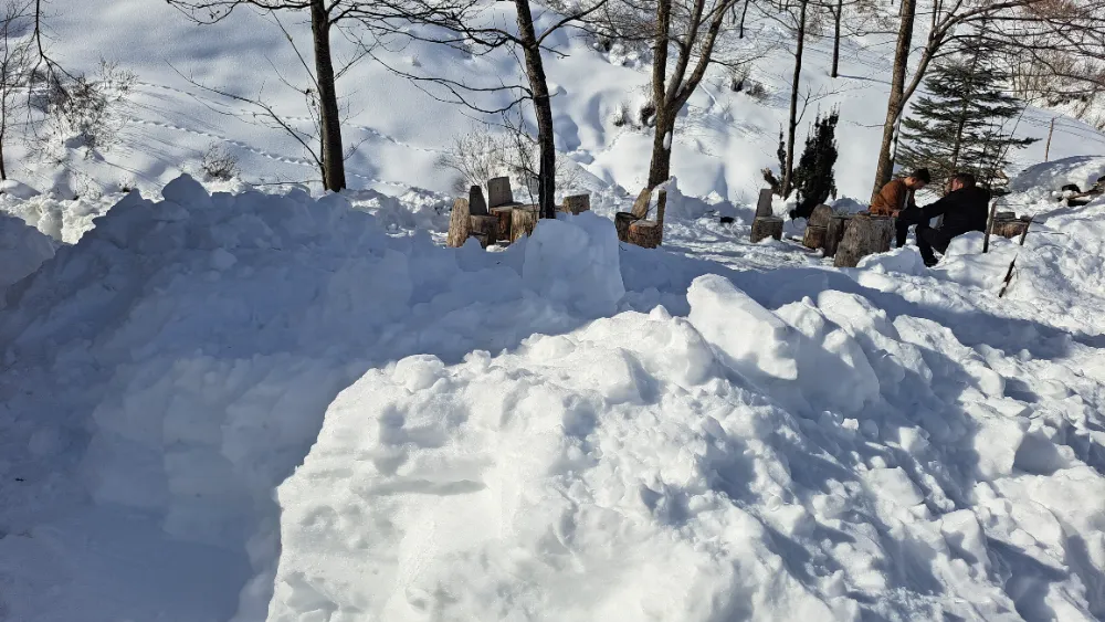 Ordu’da Çambaşı Kar Festivali Coşkuyla Kutlandı