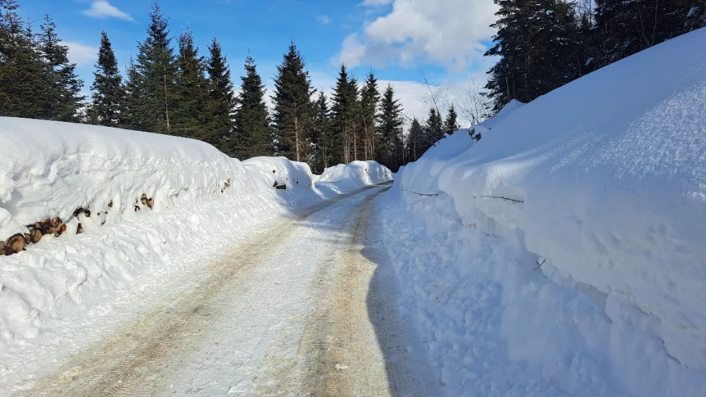 Ordu’da Çambaşı Kar Festivali Coşkuyla Kutlandı