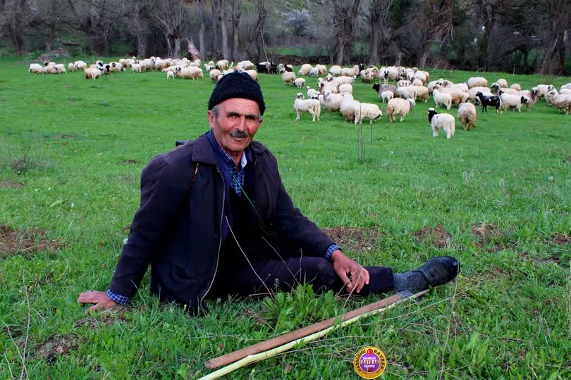 Ömrünü Çobanlığa Adayan Rıza Yaman Hayatını Kaybetti