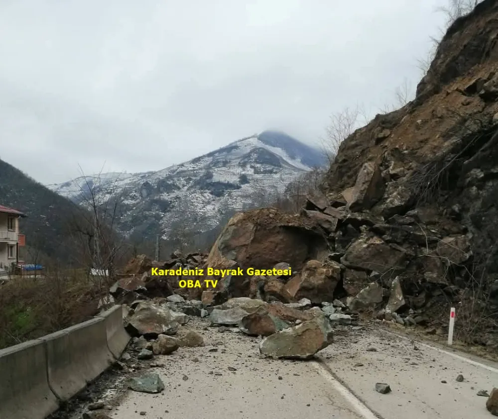 Ordu