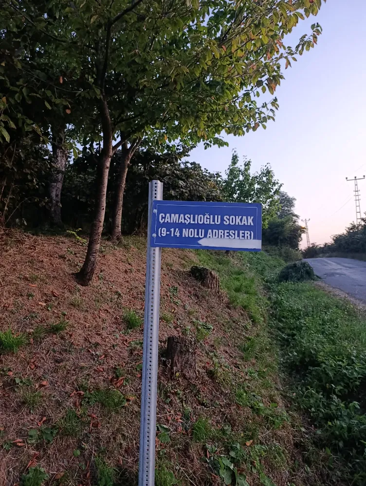 Vatandaşlar Fındık Öncesi Çözüm Bekliyor