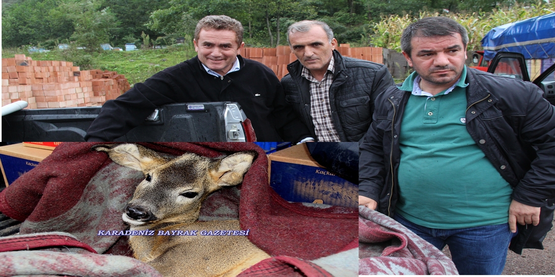 Karaca yavrusuna jandarma şefkati