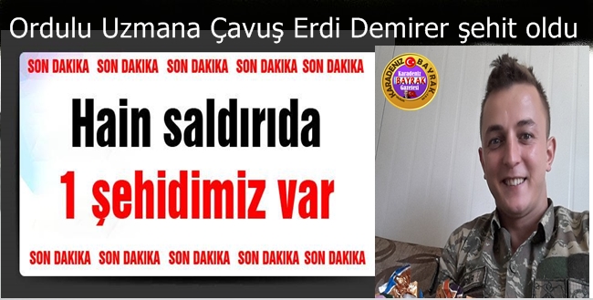 Ordu'lu Uzman Çavuş Erdi Demirer Şehit oldu