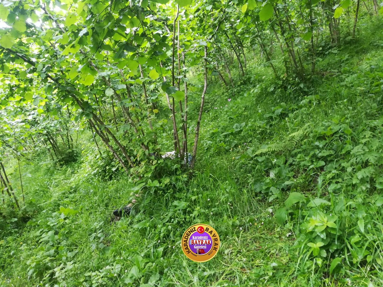 Kayıp adam ölü bulundu