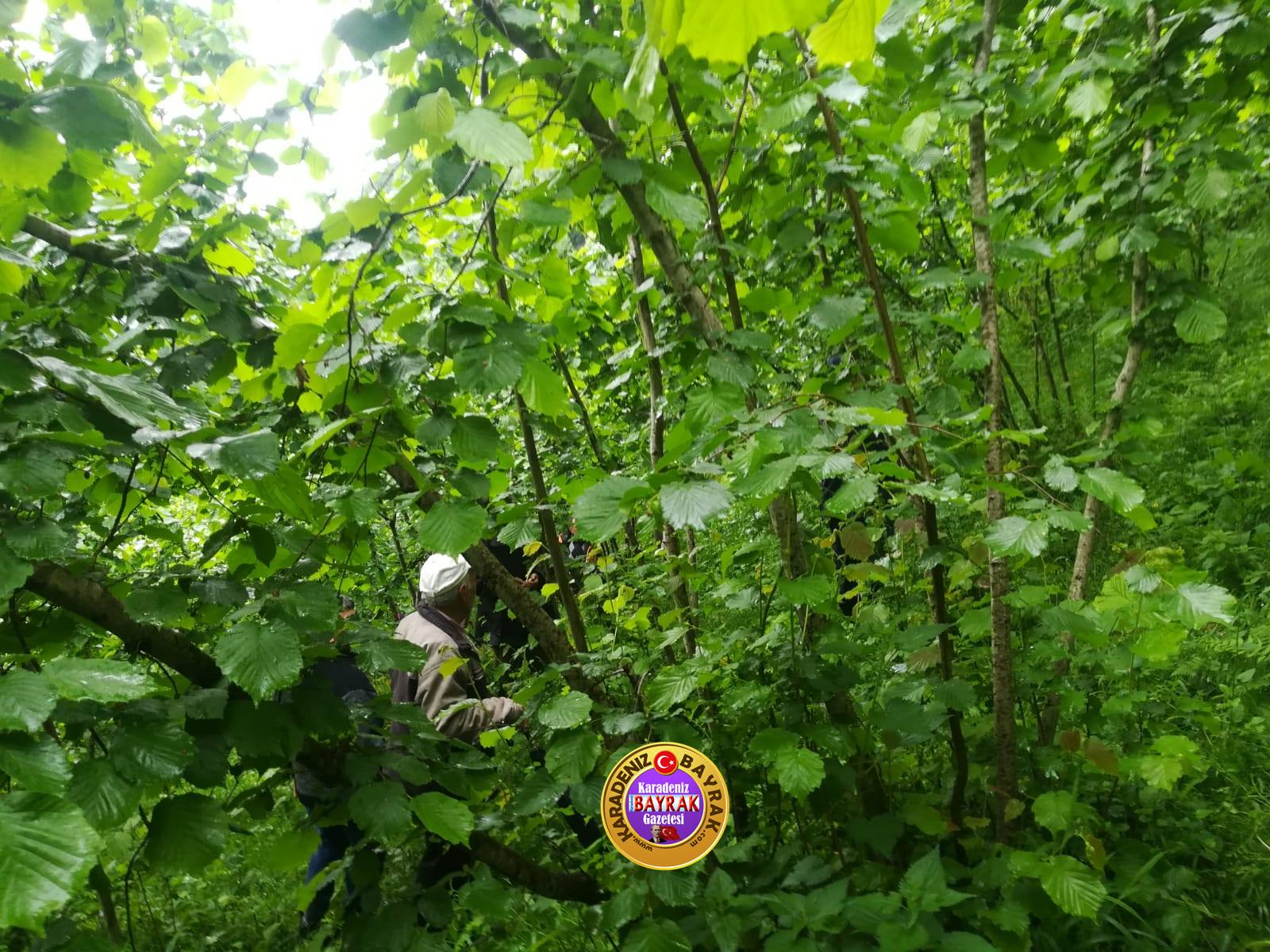 Kayıp adam ölü bulundu