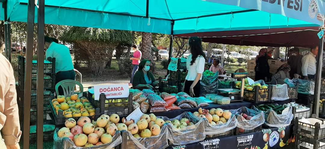 Gazipaşa Nar ve Tropik Meyve Festivali düzenlendi