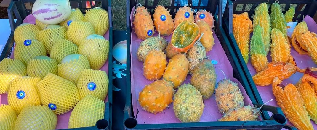 Gazipaşa Nar ve Tropik Meyve Festivali düzenlendi