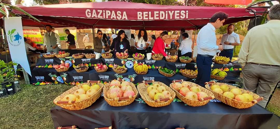 Gazipaşa Nar ve Tropik Meyve Festivali düzenlendi
